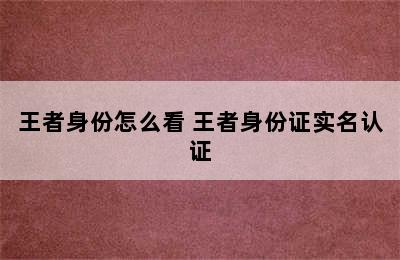 王者身份怎么看 王者身份证实名认证